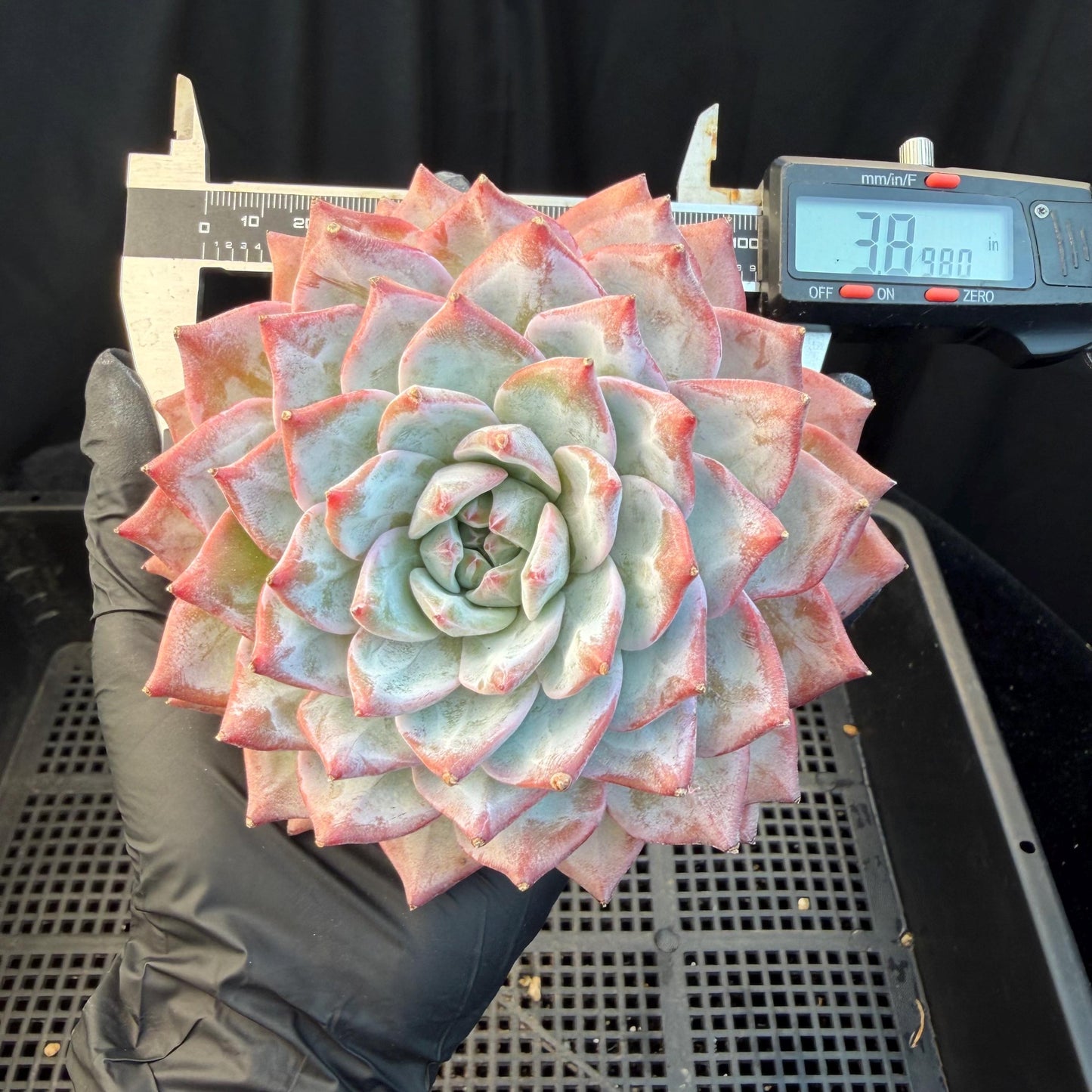 f866c39c-26d8-4af7-b9a2-37dd989d9d6c