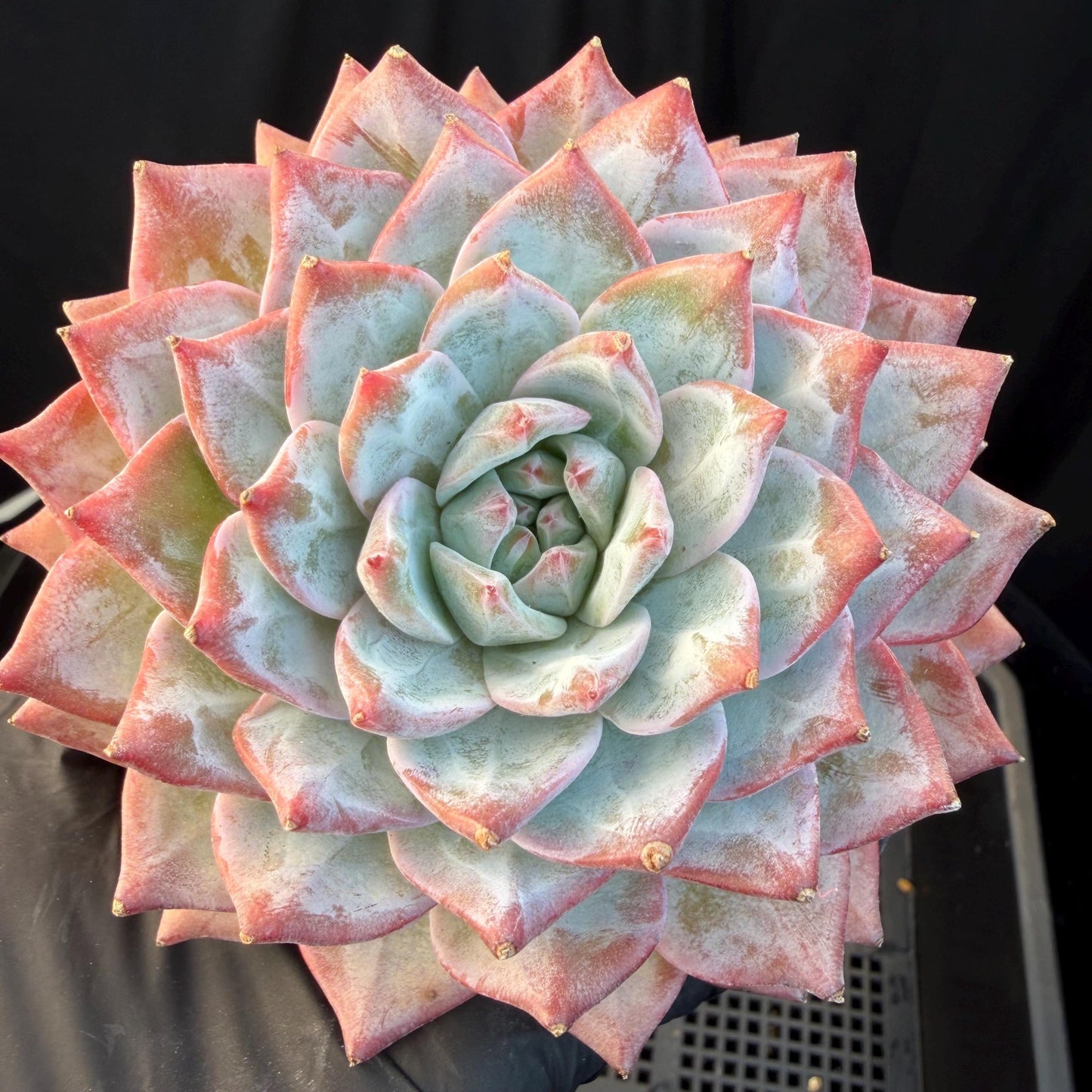 1024828a-a76e-43ec-9283-28ff9bc11d5f