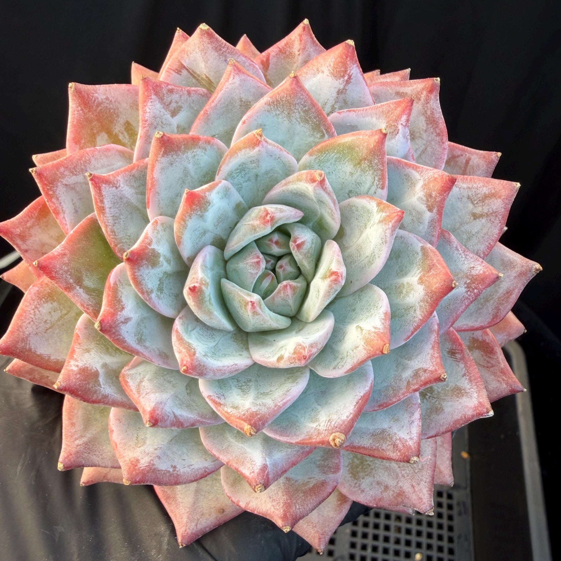 1024828a-a76e-43ec-9283-28ff9bc11d5f