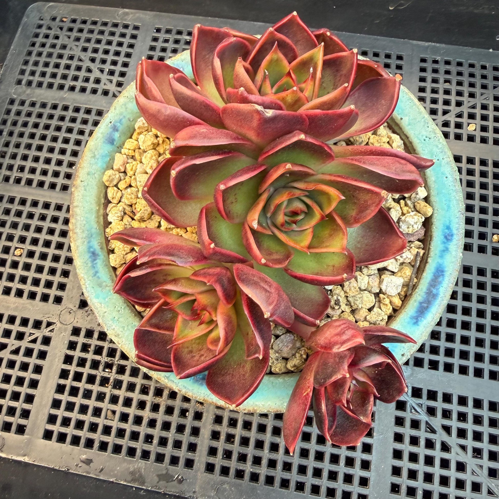 ce6b8583-29da-4f85-a356-e0a567d6b439