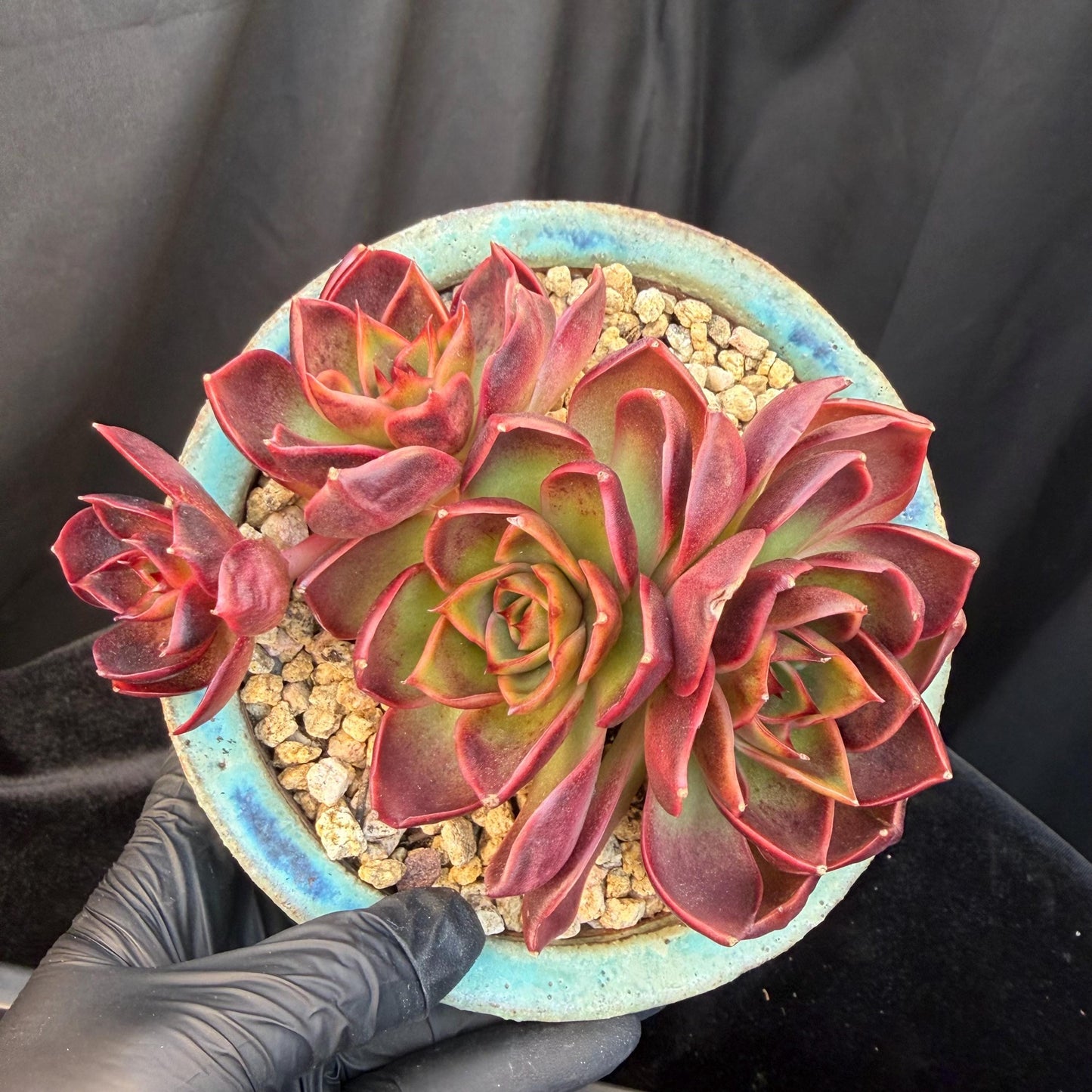 dd7638eb-c383-4bcc-9b3e-0fdbe363e8d1