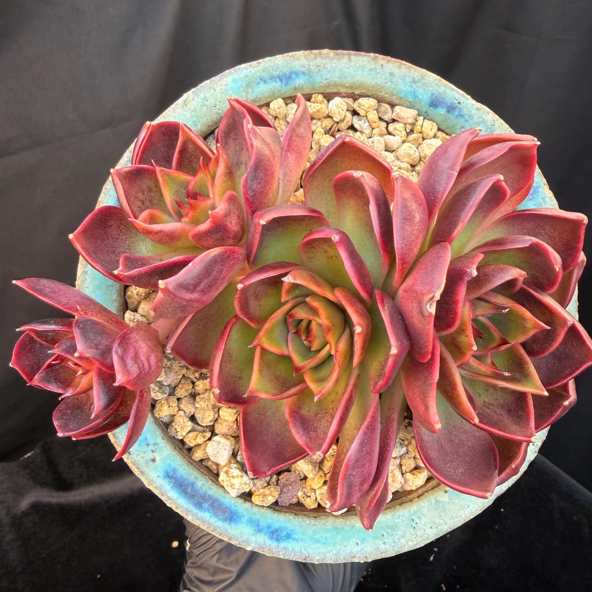 12687dc3-71a6-472e-8bd2-d9a4d29d4a1b