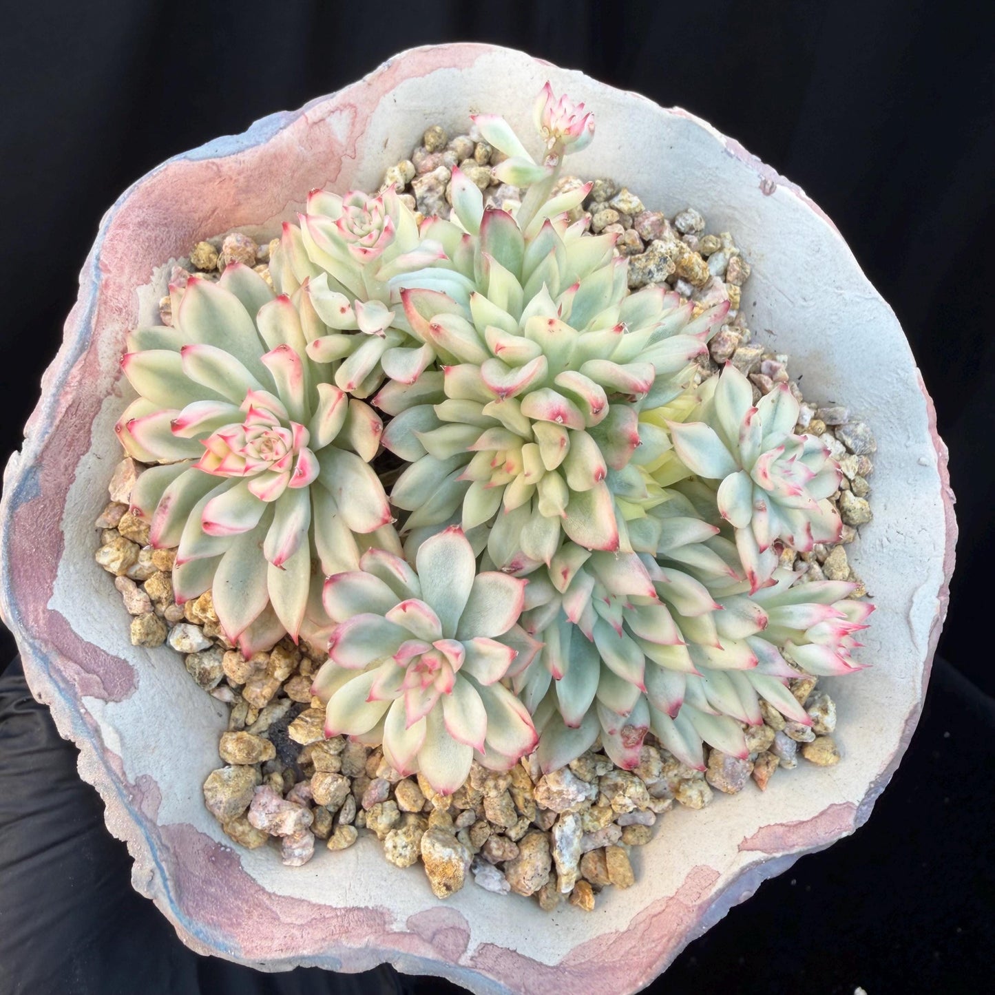 ab57e7e1-80c5-4a5f-97b5-0e98ace070c5