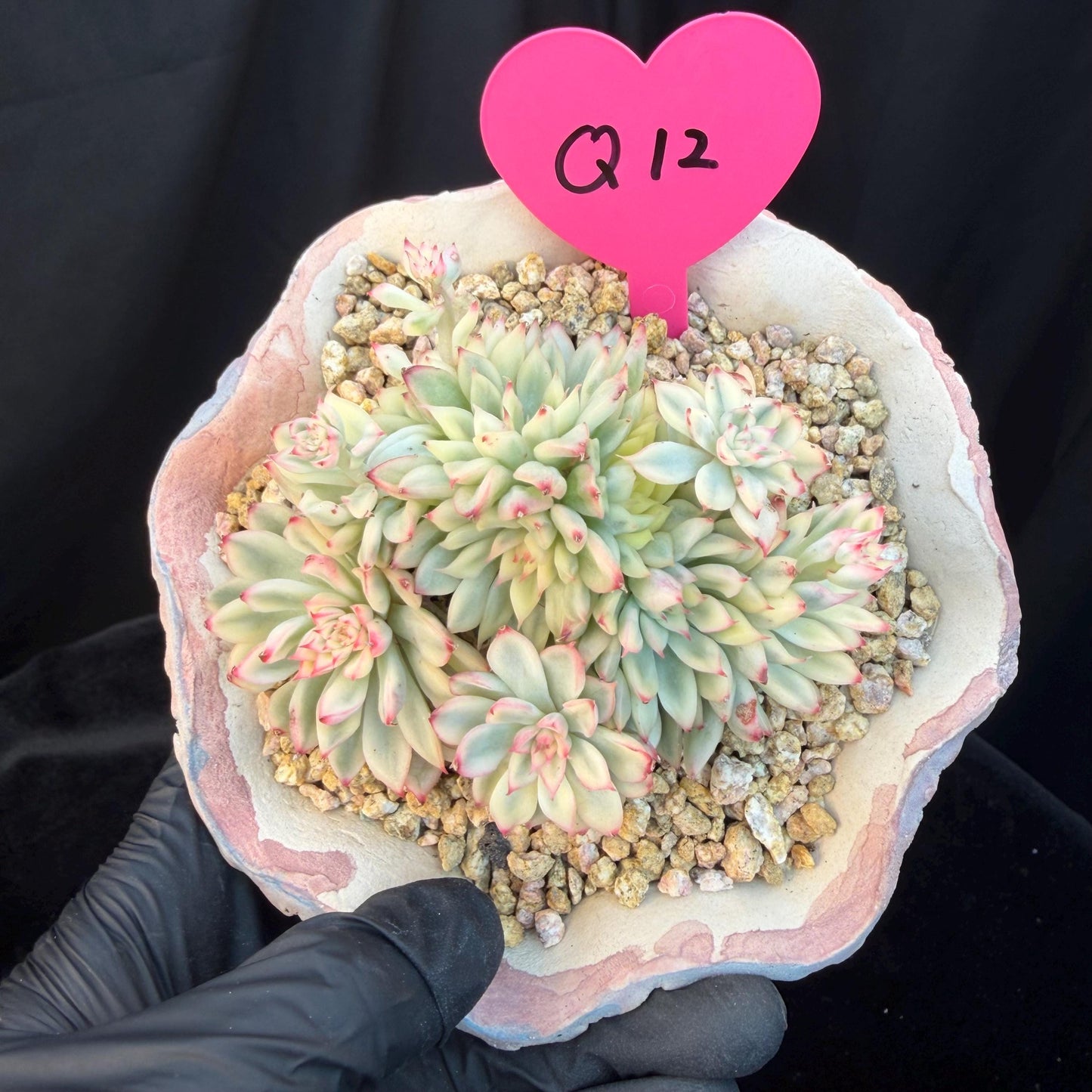 c0569e93-787b-4f5c-97e3-1b6d5c0df9e3