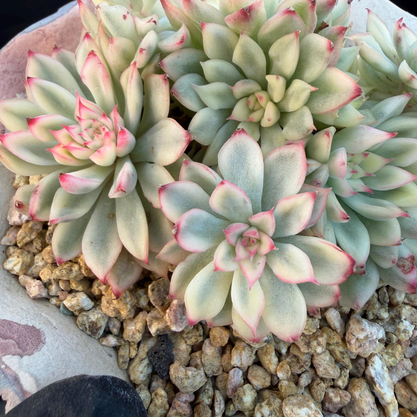 b14f2584-29e9-4e86-8fe1-856211884b22