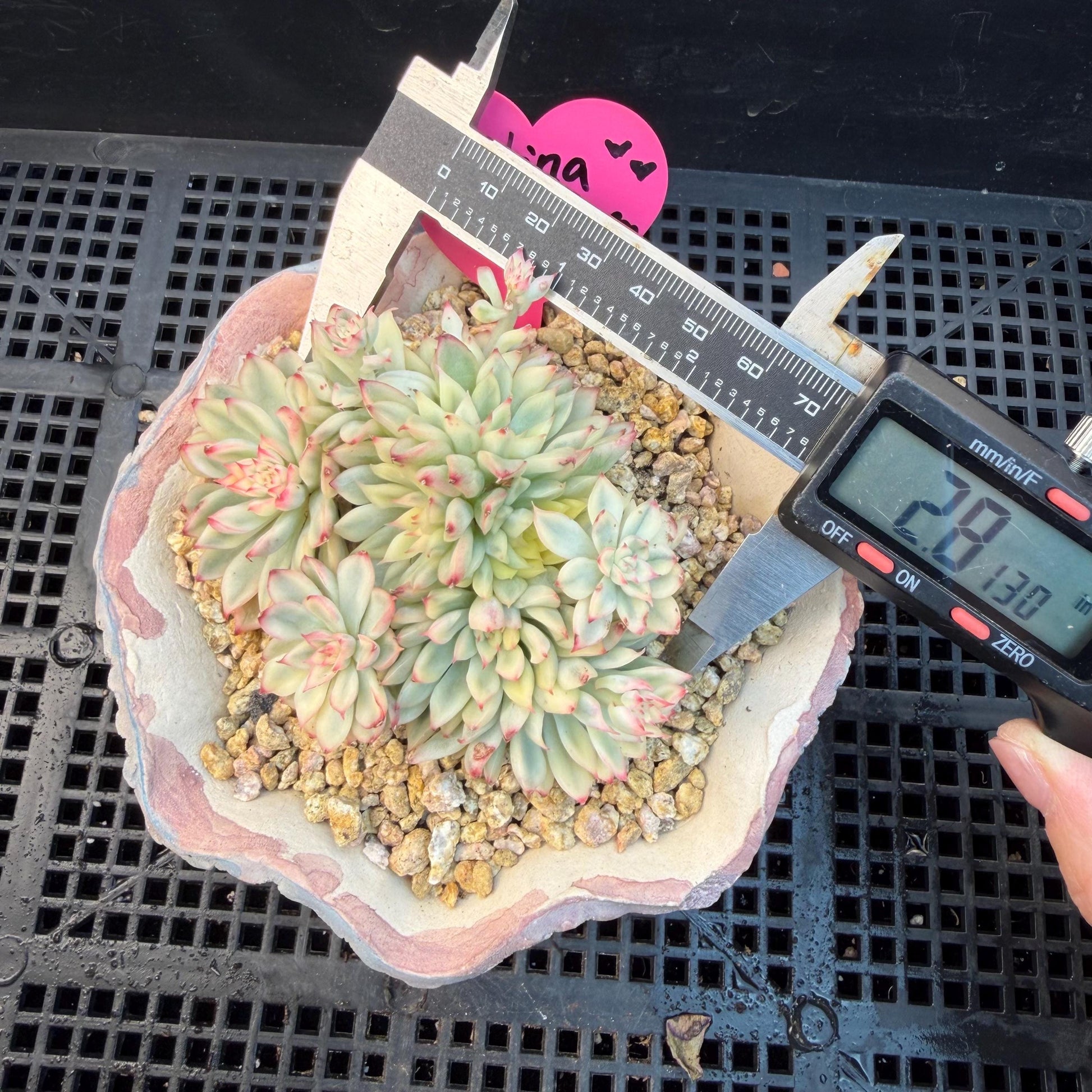 6aa0bd65-6ccb-4ac4-9ea5-b354bdee0fc0