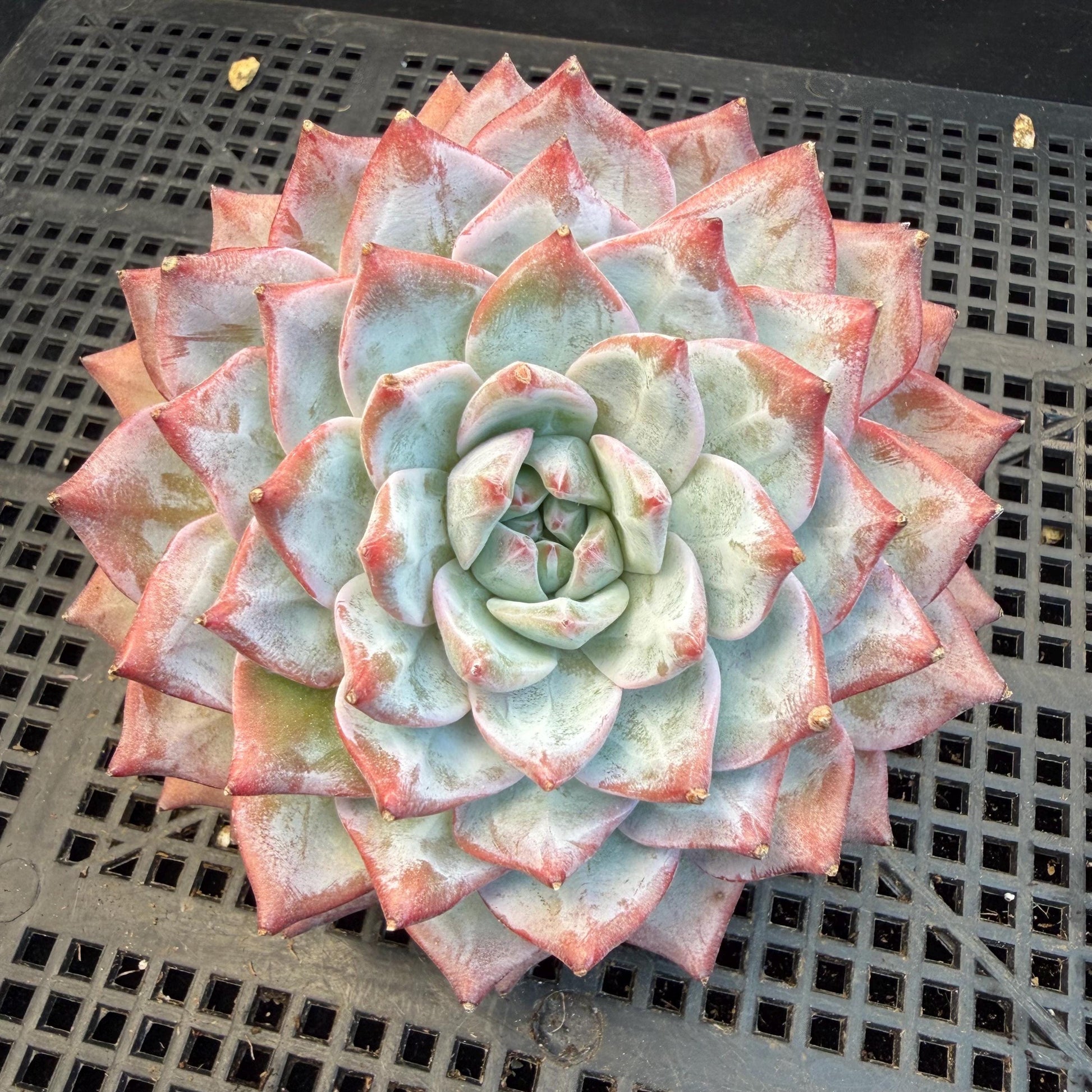 9d8fc565-d87a-4fb2-91b2-277781361d2e