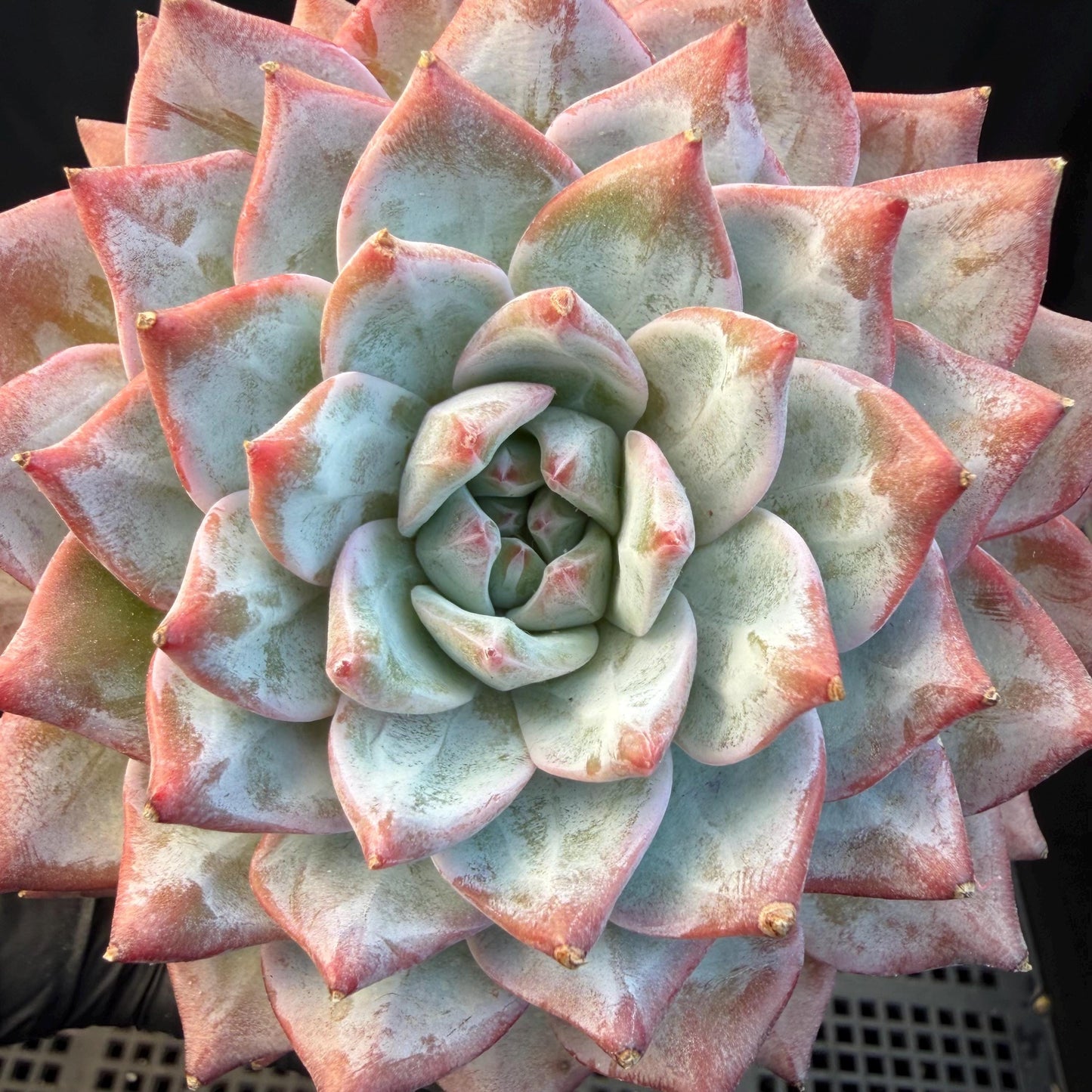 d7e7c337-ac04-45a0-8fc8-940feb4184c7