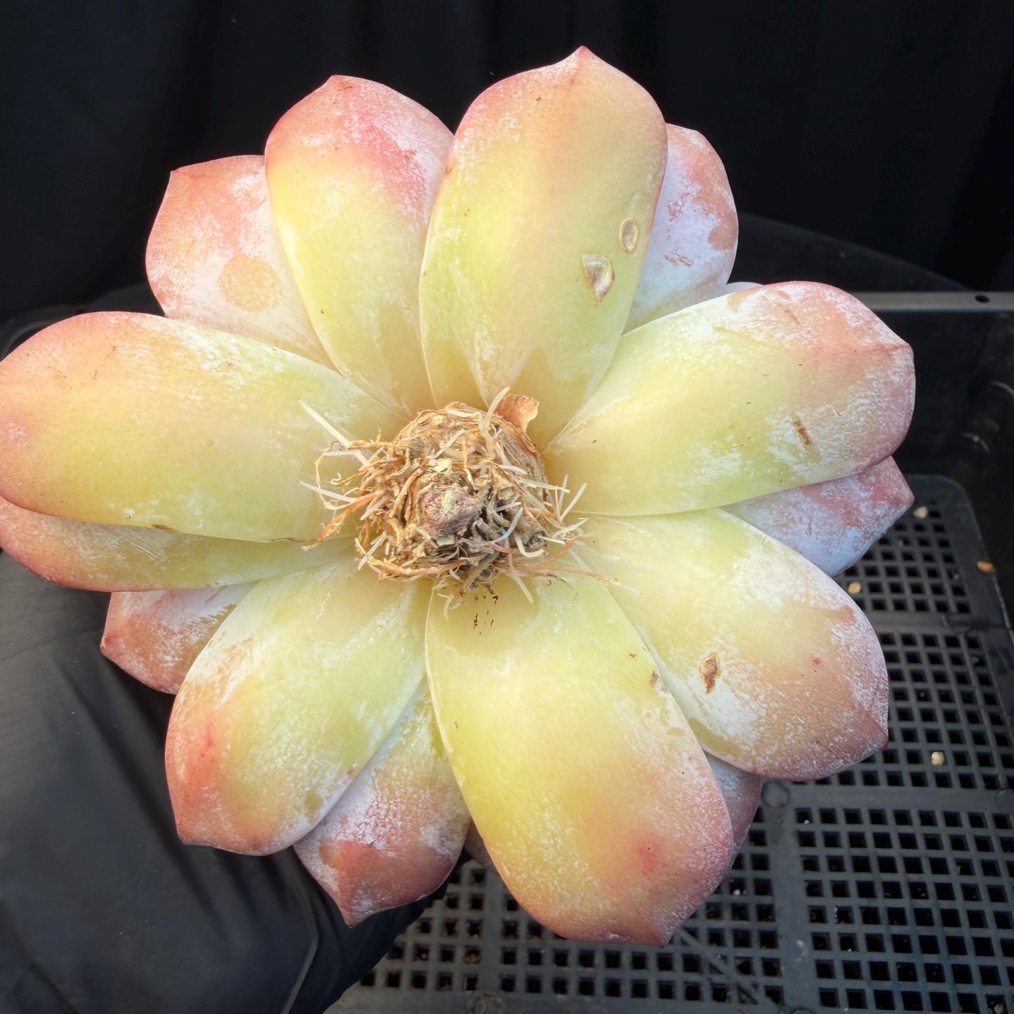 309f61e3-79b2-40d7-a93a-d6aef697d564