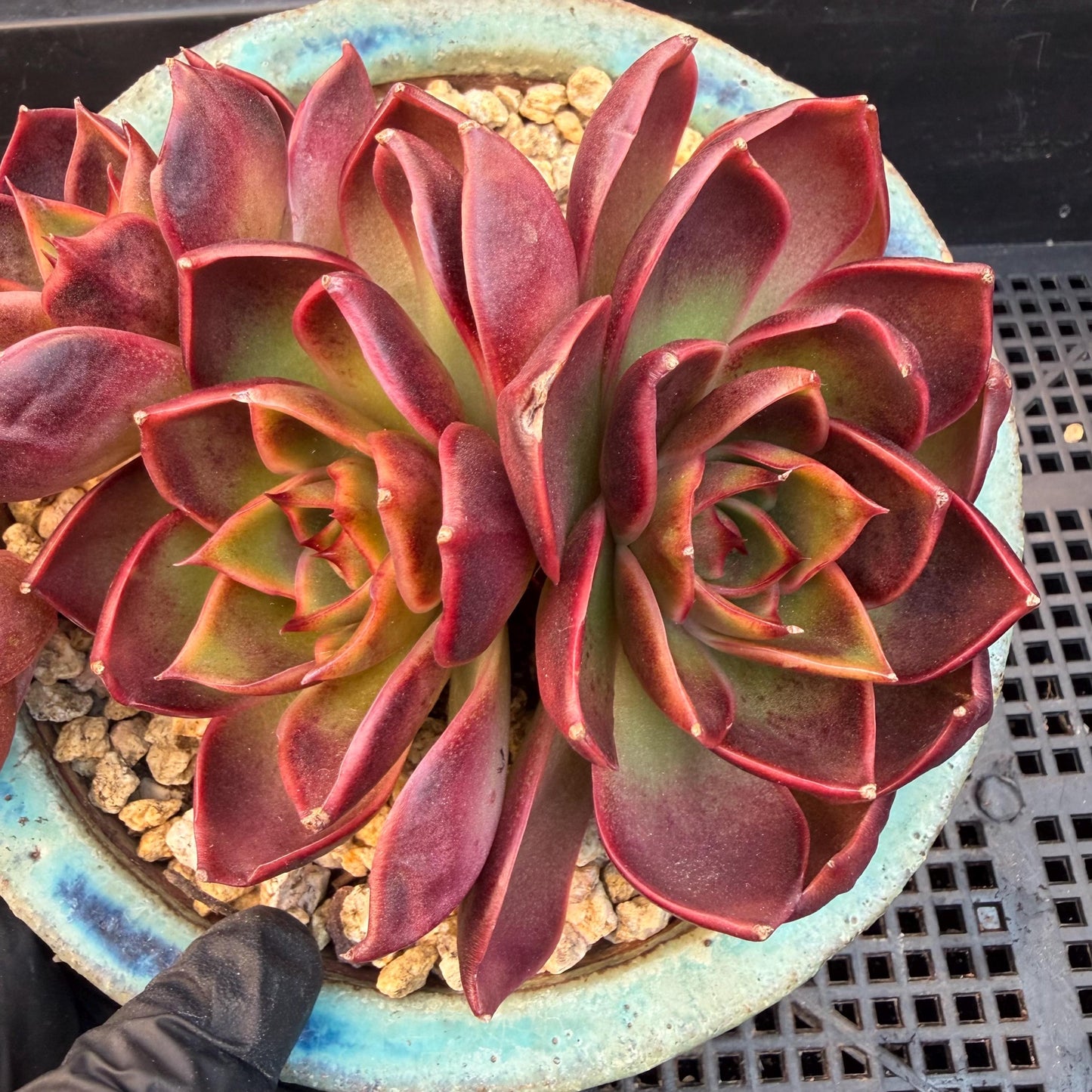 ca24e068-d60d-425c-83a3-d796a289ef61