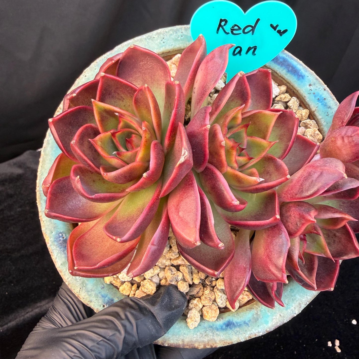 7e267789-850c-4ec5-8e2e-0bfebfac0dd0