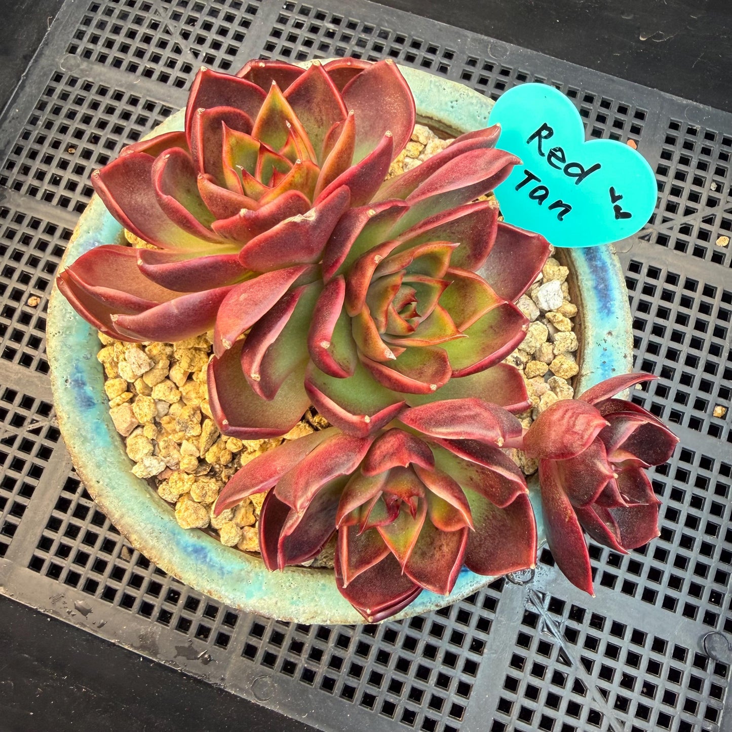 6ea37912-f5d0-4fd0-9915-50e4020cd3c1