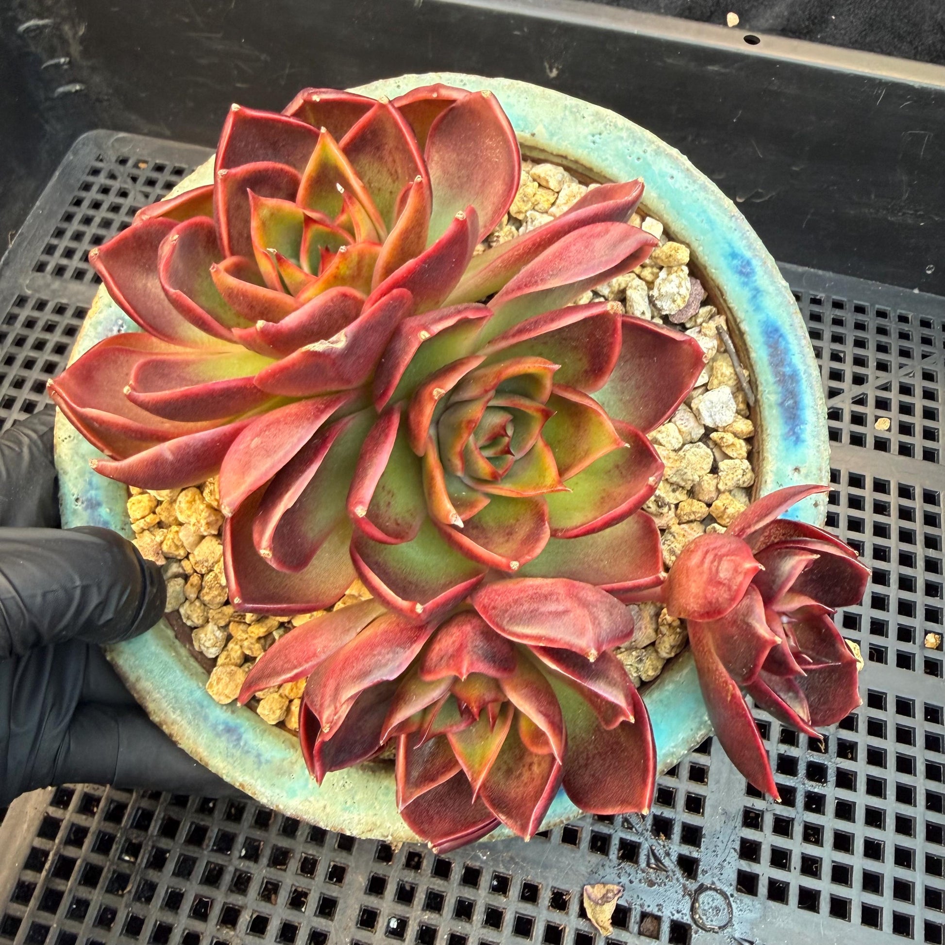 e7810c7f-baff-41fb-ae6f-e9ca14738d5b