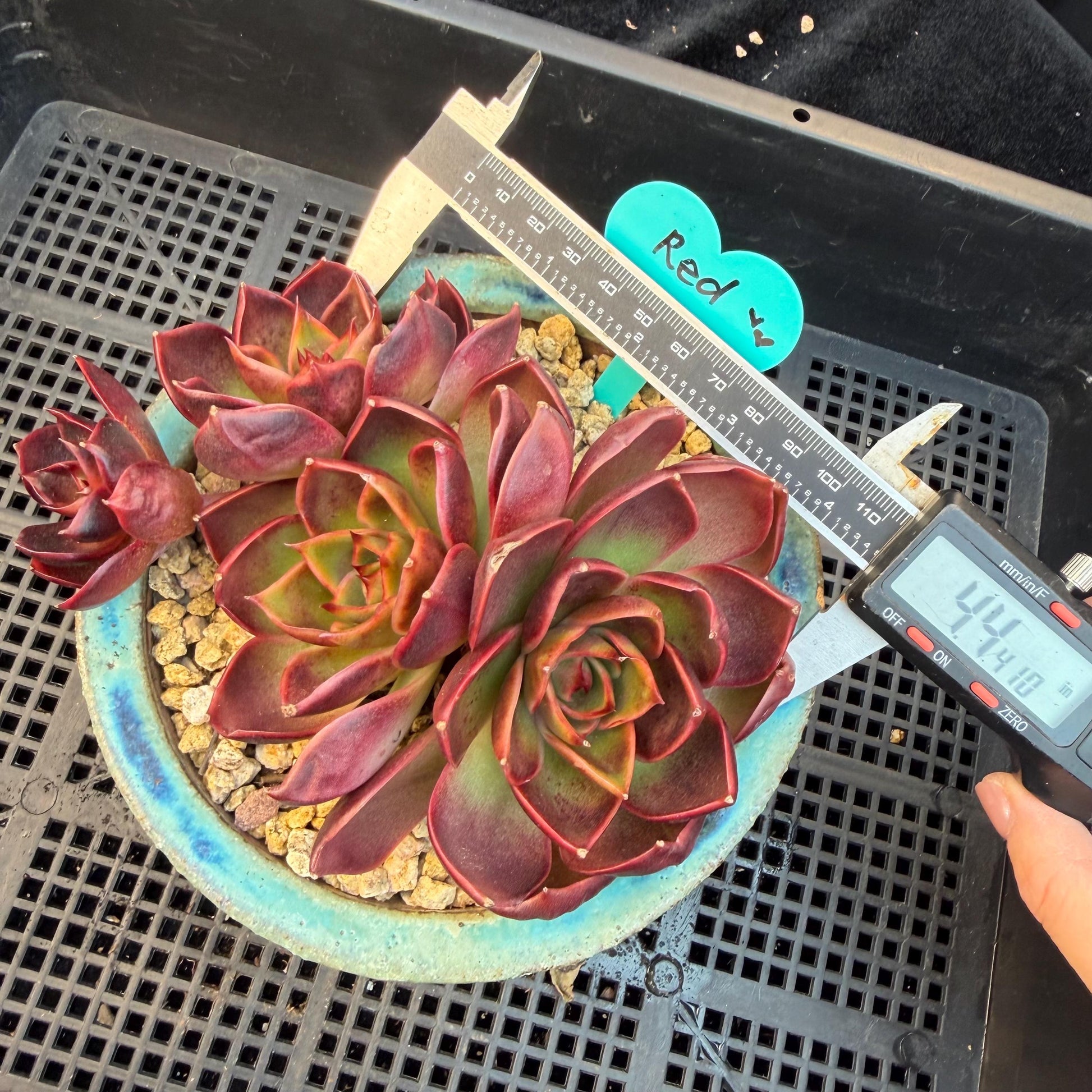 8382a0d9-1421-4362-9b3d-0f138b0dcdab