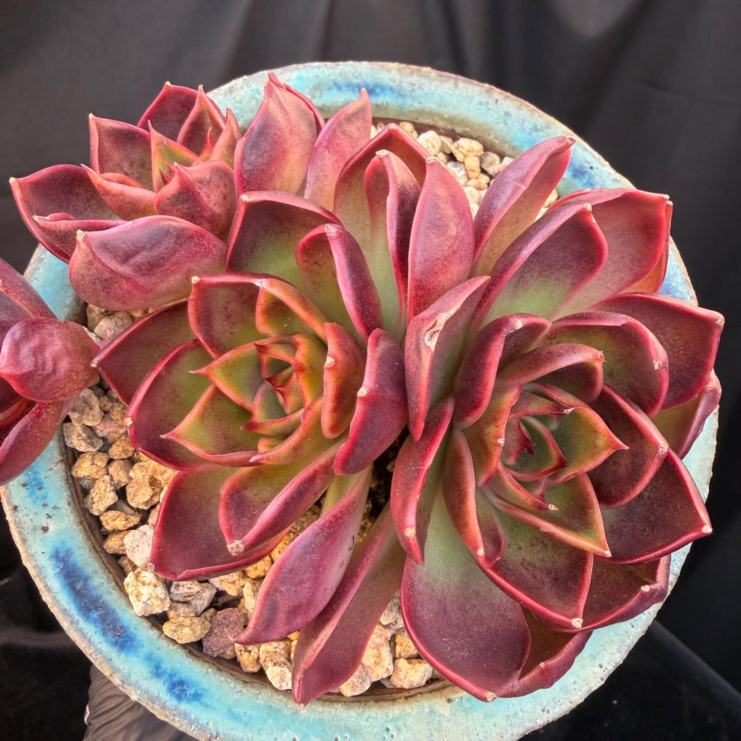 96ad07aa-fc85-4fd2-9667-972b6564e657