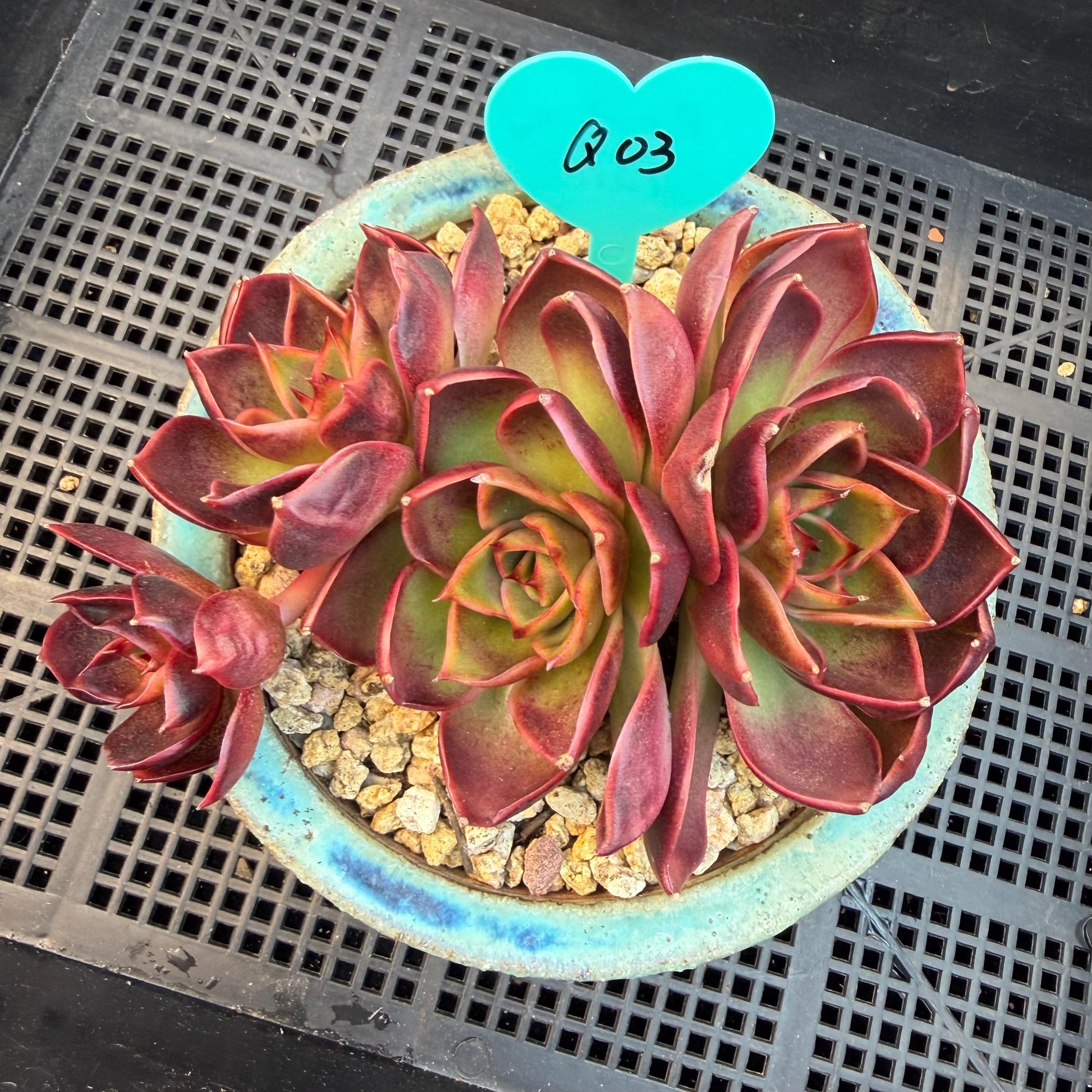 192c6a94-f02e-4984-8fad-9412cada05ed