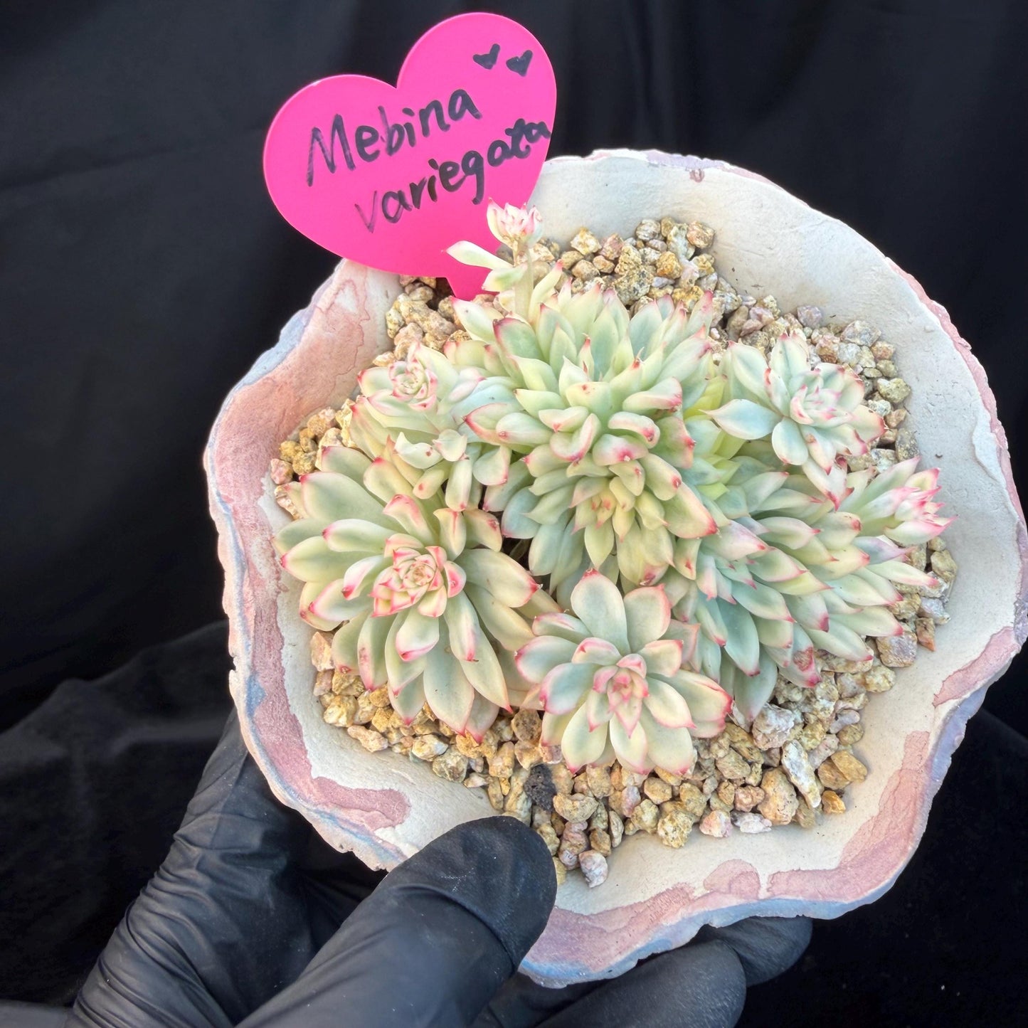 691593dd-3ff7-4463-92c3-50af647e0697