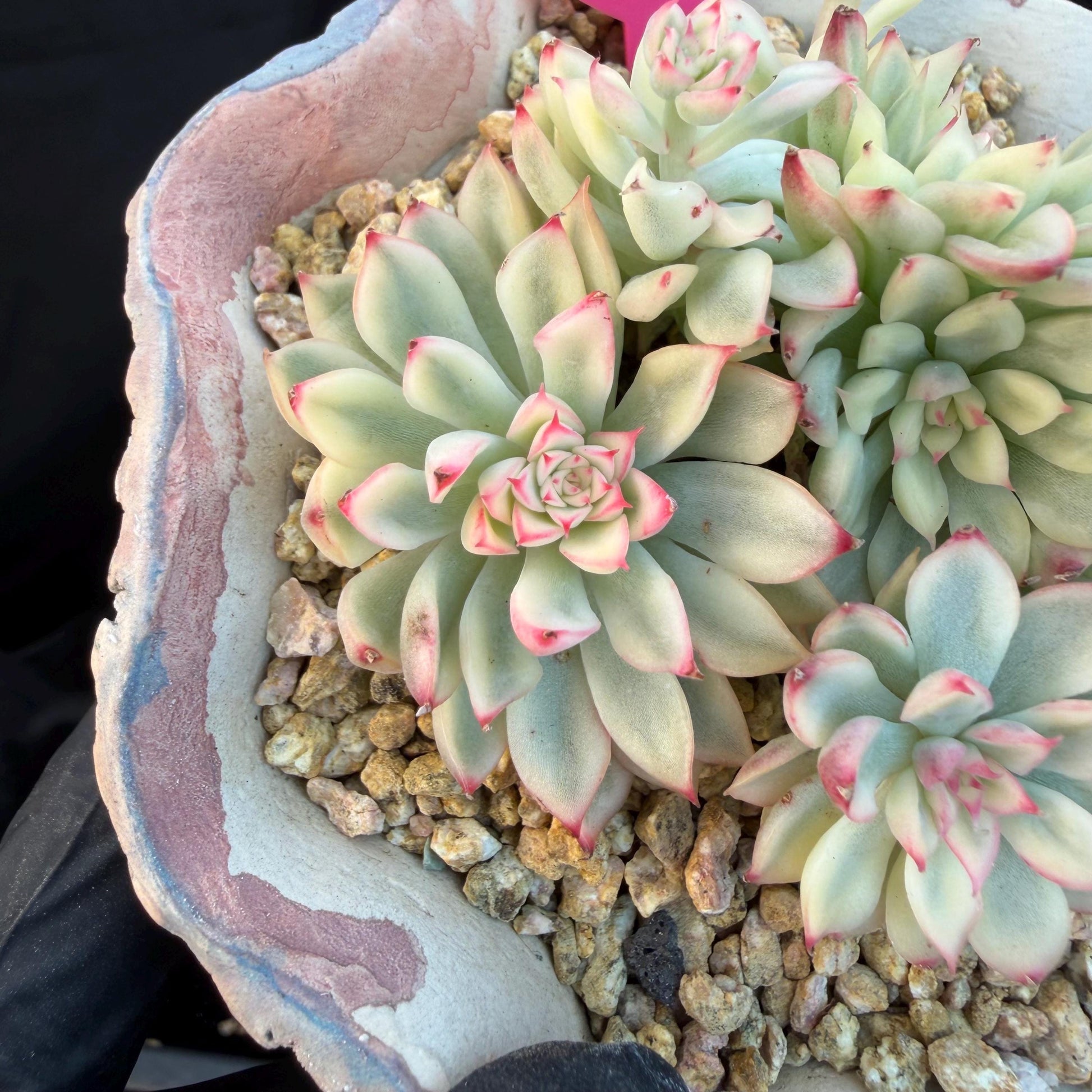 42a48fa1-ccf1-4780-9366-4380634bdae8