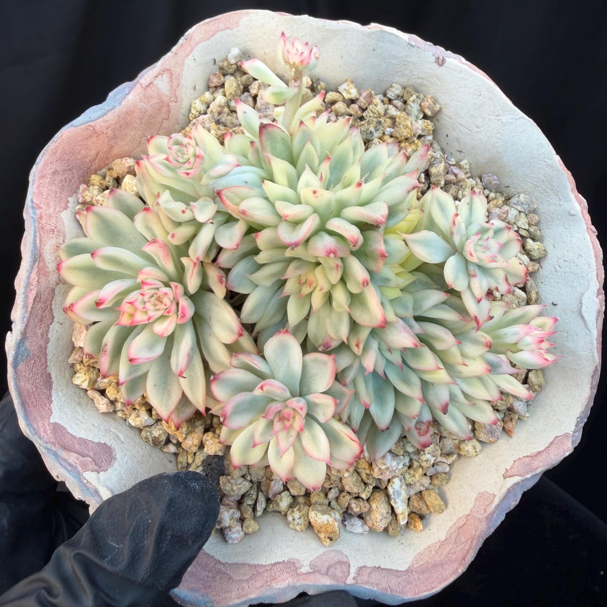 2ab22250-555f-4a77-892b-b7fb6458ac34